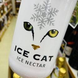 ice cat